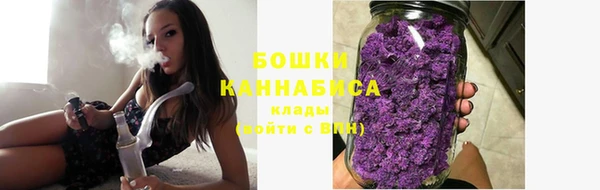 Альфа ПВП Горнозаводск