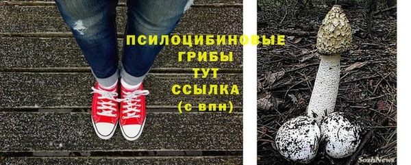 дурь Гусиноозёрск