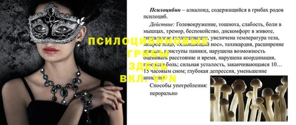 прущий лед Гусев