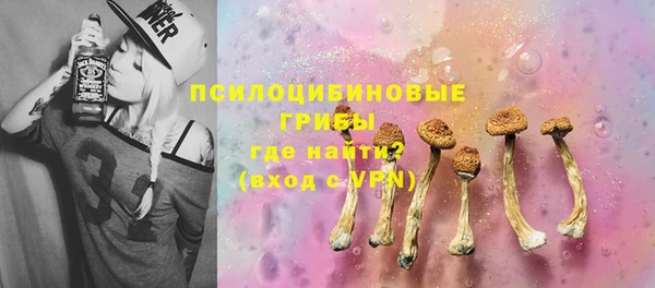 Альфа ПВП Горнозаводск