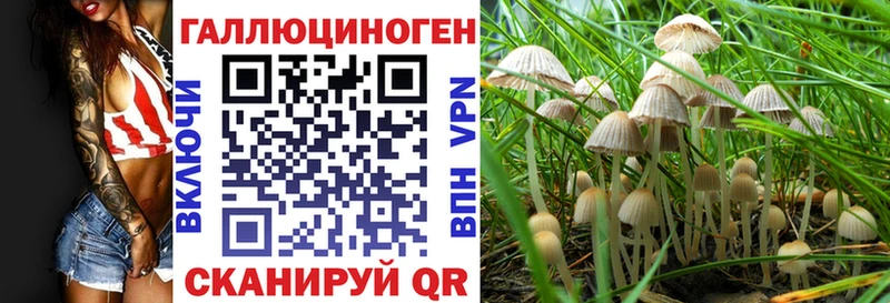 где купить наркоту  Железногорск-Илимский  Псилоцибиновые грибы мухоморы 